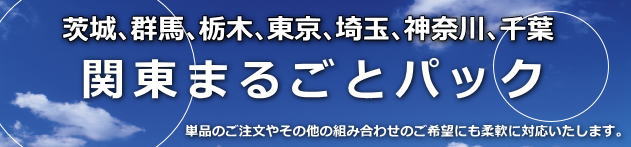 産業廃棄物　許可　行政書士／茨城／群馬／栃木／北関東／関東全域／セット／パック／激安／安い／産廃専門　行政書士